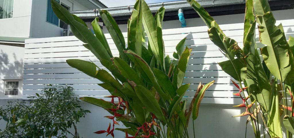 รั้วไม้ระแนง