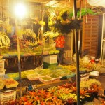 ต้นไม้สำหรับจัดสวนกระถาง