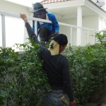 โครงเหล็กรั้วไม้ระแนง