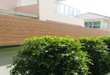 การต่อเติมรั้วบ้านให้สูงขึ้นด้วยรั้วไม้ระแนงบังตา ต่อเติมรั้วบ้านให้สูงขึ้น